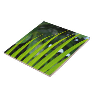 Azulejo Areca Palm Frond