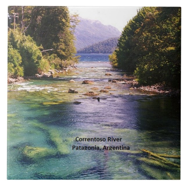 Azulejo Argentina, Patagonia (Frente)