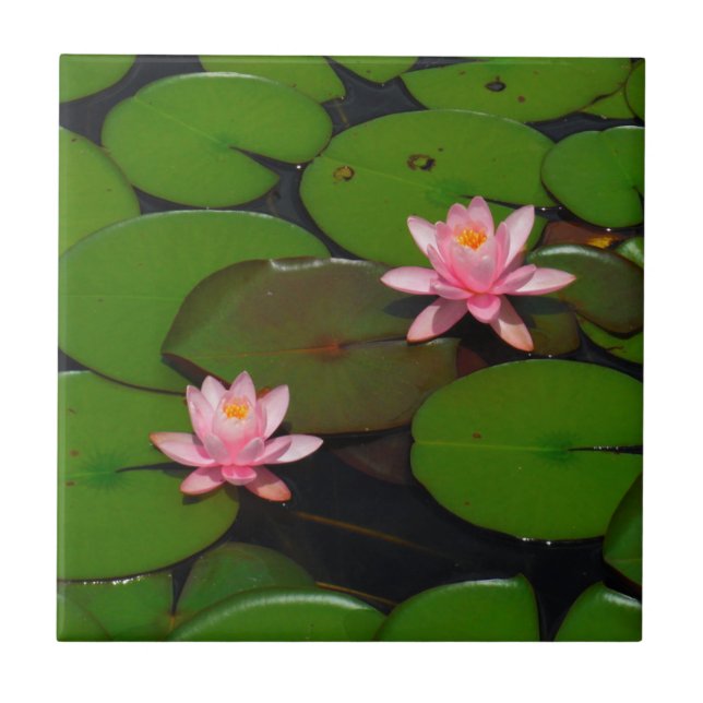 Azulejo Aroma de flores de lirio de loto rosa, (Frente)
