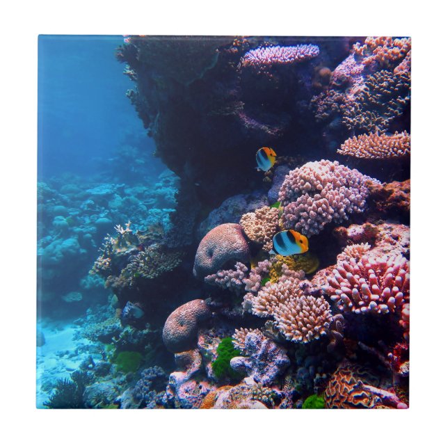 Azulejo Arrecife de coral tropical colorido (Frente)