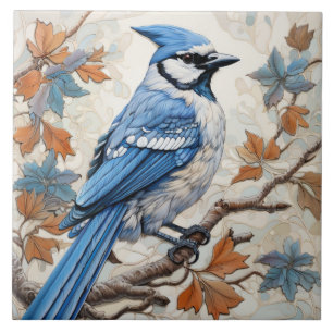Azulejo Arrendajo Azul, Plumaje Azul y Blanco