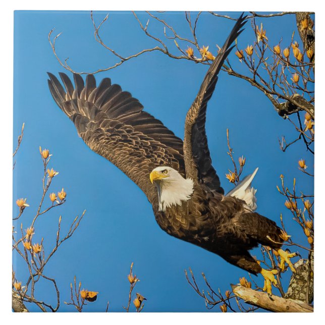 Azulejo Arriba Y A Las Em (Frente)
