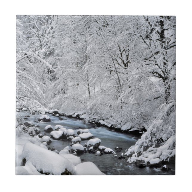 Azulejo Arroyo blanco nevado escénico, Oregón (Frente)