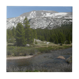 Azulejo Arroyo de Montaña de High Country II en Yosemite