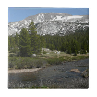 Azulejo Arroyo de Montaña de High Country II en Yosemite