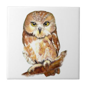 Azulejo Arte acuarela Owl Cute Bird
