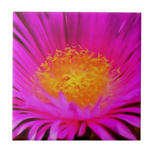 Azulejo Arte artístico de flores de aster rosa magenta