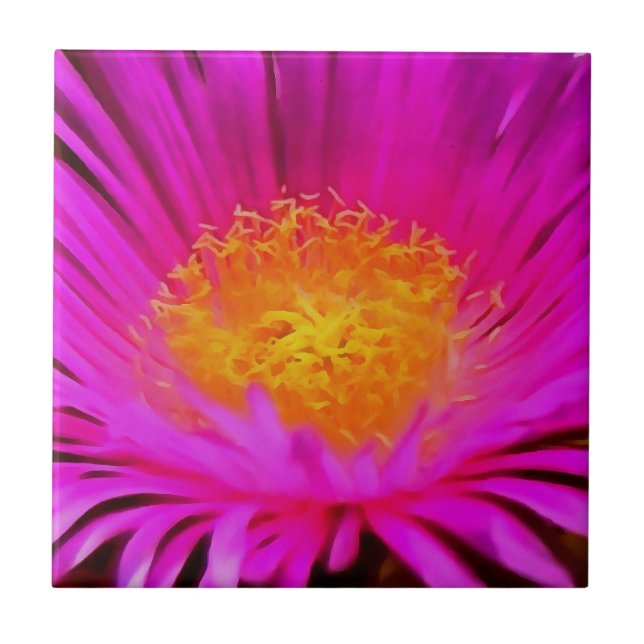 Azulejo Arte artístico de flores de aster rosa magenta (Frente)