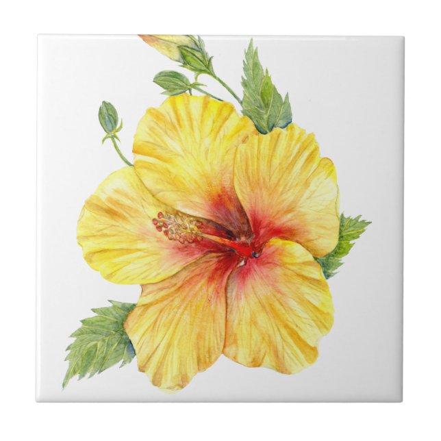 Azulejo Arte botánico amarillo hibiscus (Frente)