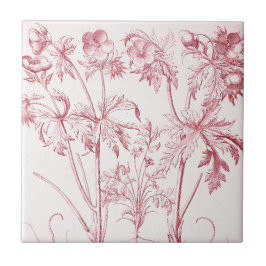 Azulejo Arte botánico de color rosa