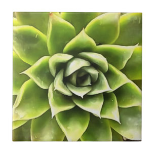 Azulejo Arte Cacti verde exitoso