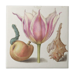 Azulejo Arte de Caligrafía del Renacimiento Flor de Tulipá