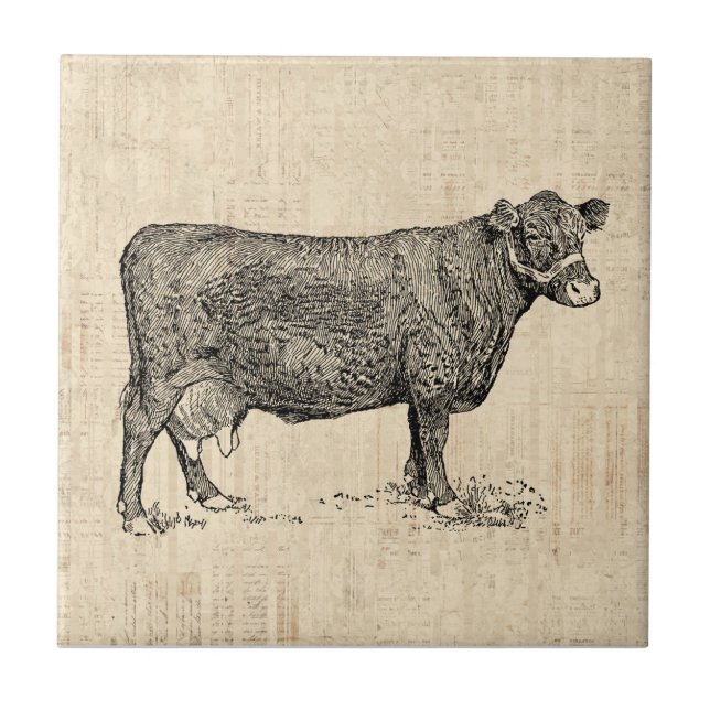 Azulejo Arte de Country Cow ilustrado (Frente)