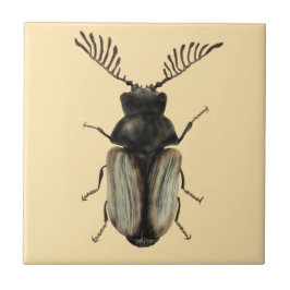 Azulejo arte de entomología de los insectos de Guay