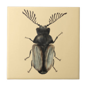 Azulejo arte de entomología de los insectos de Guay