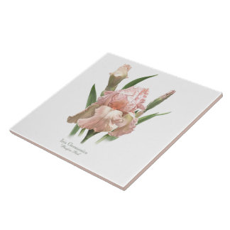 Azulejo Arte De Estilo Botánico De Iris Rosa bonito