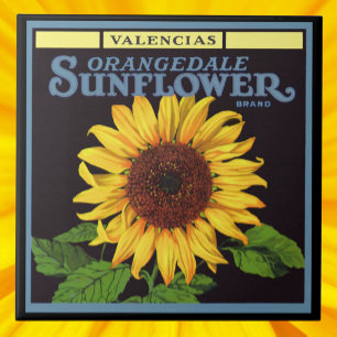 Azulejo Arte de etiqueta de caja de frutas vintage Oranged