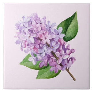 Azulejo Arte de flor de lila con fondo rosa