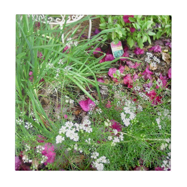 Azulejo Arte de la fotografía de las cebolletas de la (Frente)