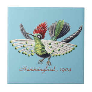 Azulejo Arte de la Naturaleza de Colibríes Coloridos de Er