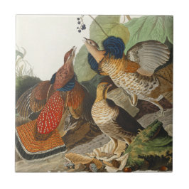 Azulejo Arte de la Naturaleza del Ave Urogallo Rizado de A