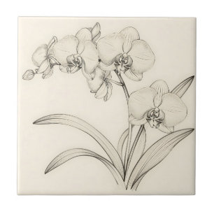 Azulejo Arte de línea de orquídea Phalaenopsis elegante