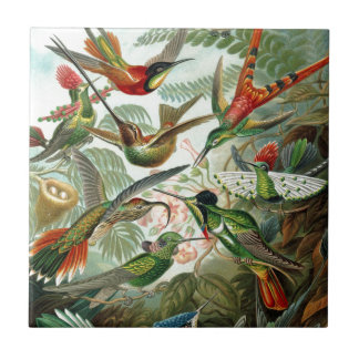 Azulejo Arte de Paraíso de las Aves