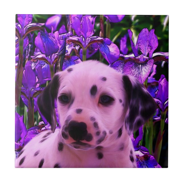 Azulejo Arte de perros con cachorros de Dalmacia (Frente)