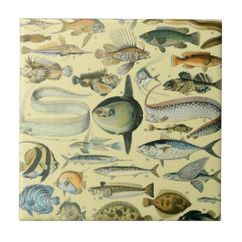 Azulejo Arte de pesca científica de peces de época