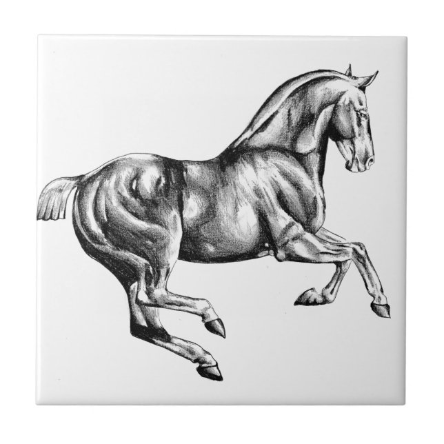 Azulejo Arte del bosquejo del dibujo del caballo hecho a (Frente)