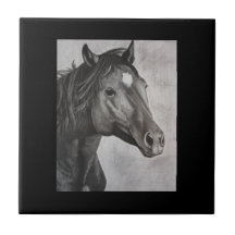 Arte dibujado a mano de caballo