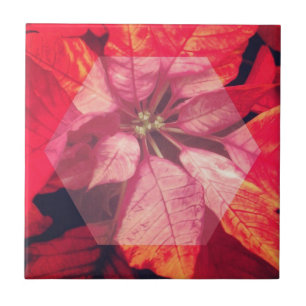Azulejo Arte digital de Poinsettia