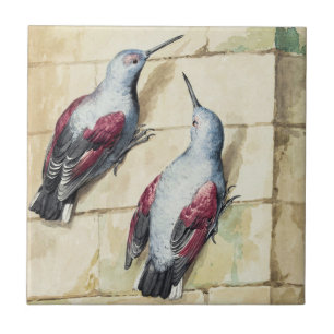 Azulejo Arte en Acuarela de Pájaro Rojo y Gris Vintage