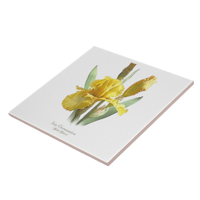 Azulejo Arte estilo botánico de flor de iris amarillo (Lado)