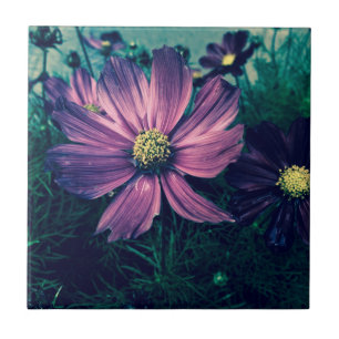 Azulejo Arte fotográfico de flores púrpura oscuras