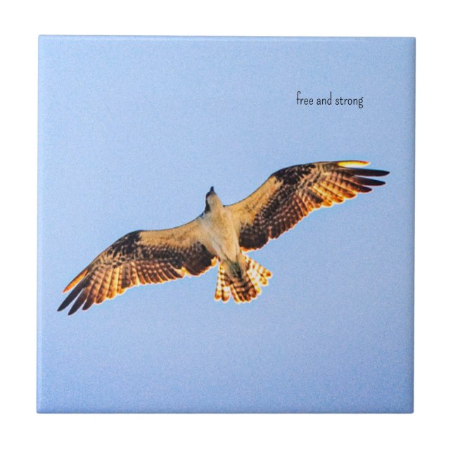 Azulejo Arte libre Osprey (Frente)