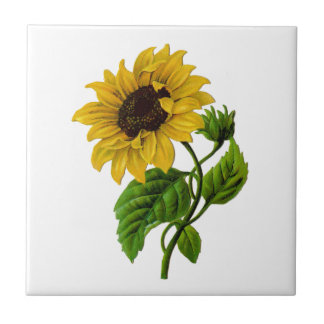 Azulejo Artículo de regalo de Personalizado de girasol vin