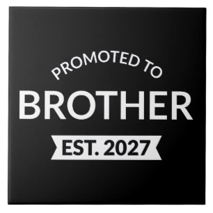 Azulejo Ascendido a Hermano Est 2027 Big Brother II