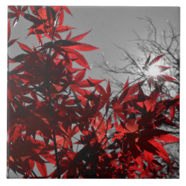 Azulejo Ascuas de Otoño