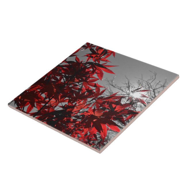 Azulejo Ascuas de Otoño (Lado)