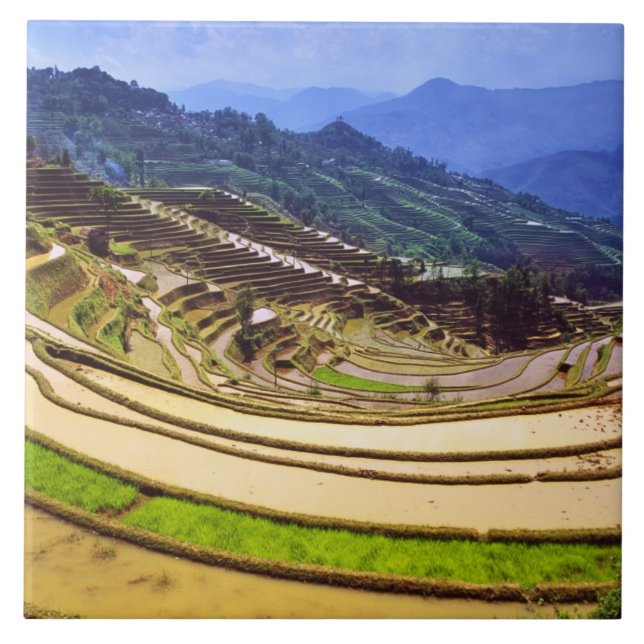 Azulejo Asia, China, provincia de Yunnan, condado de Yuany (Frente)