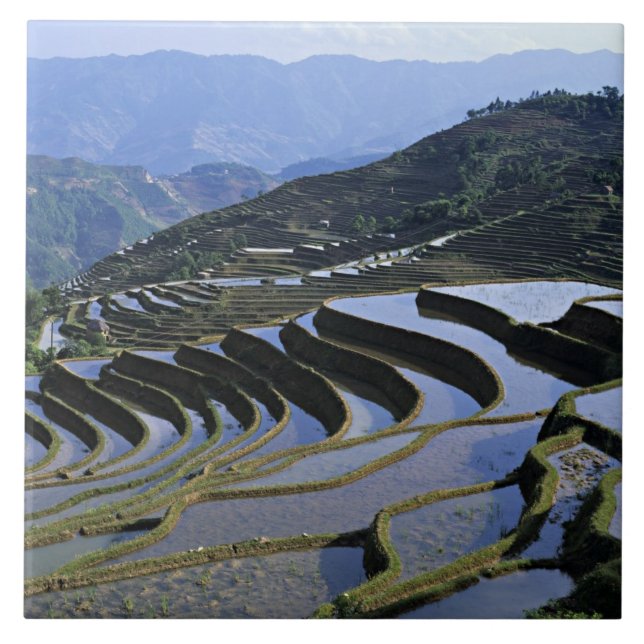 Azulejo Asia, China, Yunnan, Yuanyang. Rugoso (Frente)