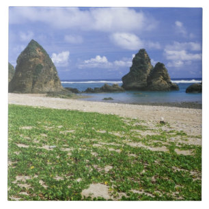 Azulejo Asia, Japón, Okinawa, costa de Yambaru, mar