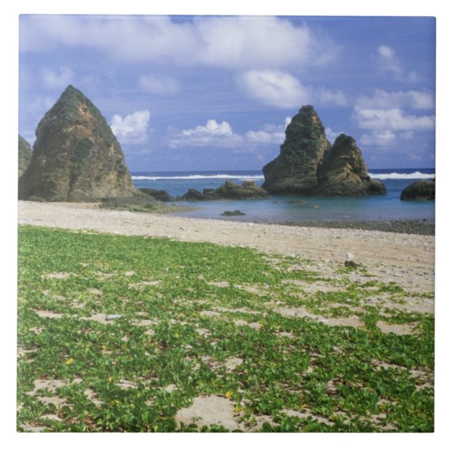 Azulejo Asia, Japón, Okinawa, costa de Yambaru, mar (Frente)