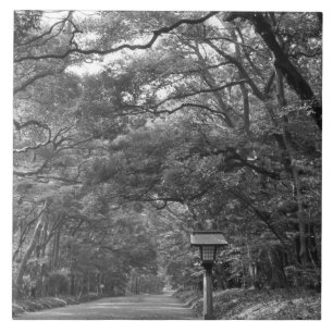 Azulejo Asia, Japón, Tokio, terrenos del santuario Meiji,