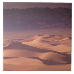 Azulejo Asia, Mongolia, desierto de Gobi, Gobi Gurvansaikh