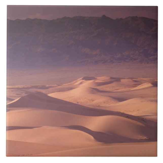 Azulejo Asia, Mongolia, desierto de Gobi, Gobi Gurvansaikh (Frente)