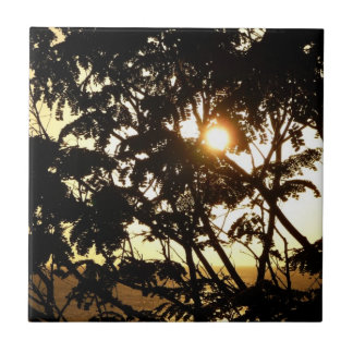 Azulejo Atardecer a través de árboles en fotografía tropic