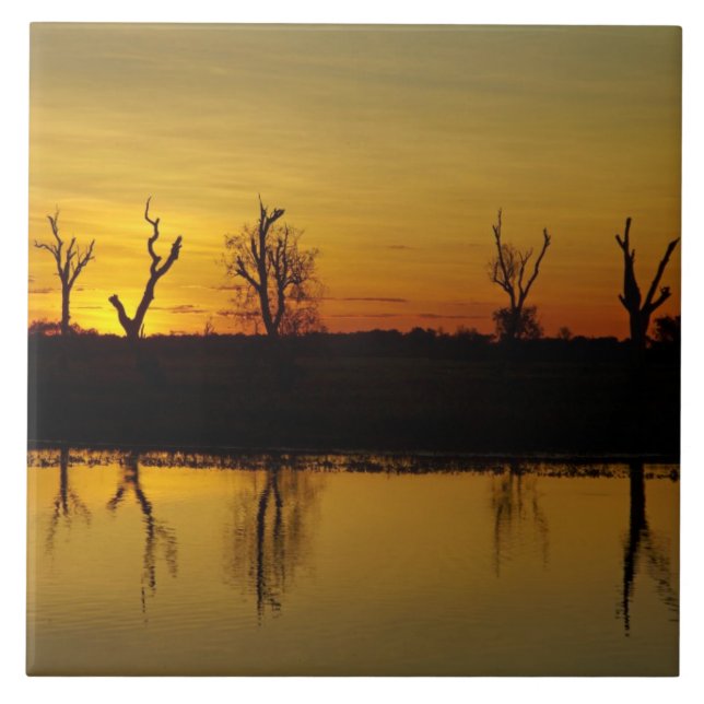 Azulejo Atardecer, Billabong de Agua Amarilla (Frente)