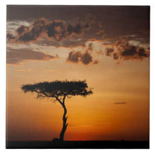 Azulejo Atardecer en Masai Mara